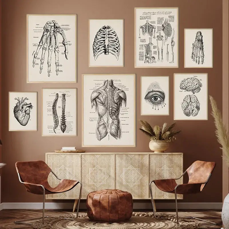 Set of nine framed black and white vintage human anatomy illustrations featuring detailed skeletal structures by DecorBites™