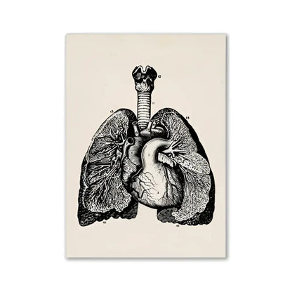 DecorBites™ vintage human anatomy canvas art print featuring black-and-white lungs and heart on cream canvas