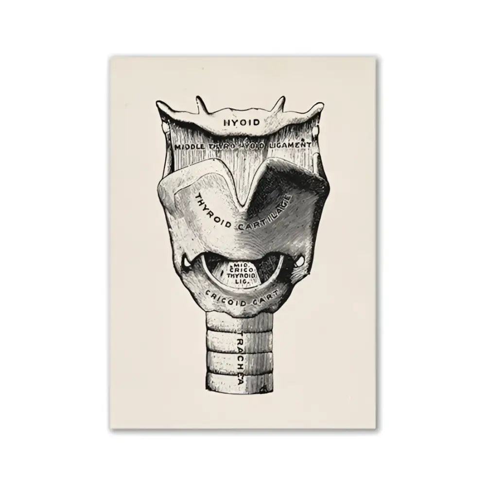 DecorBites™ vintage human anatomy canvas print featuring a detailed black ink larynx illustration on beige textured paper