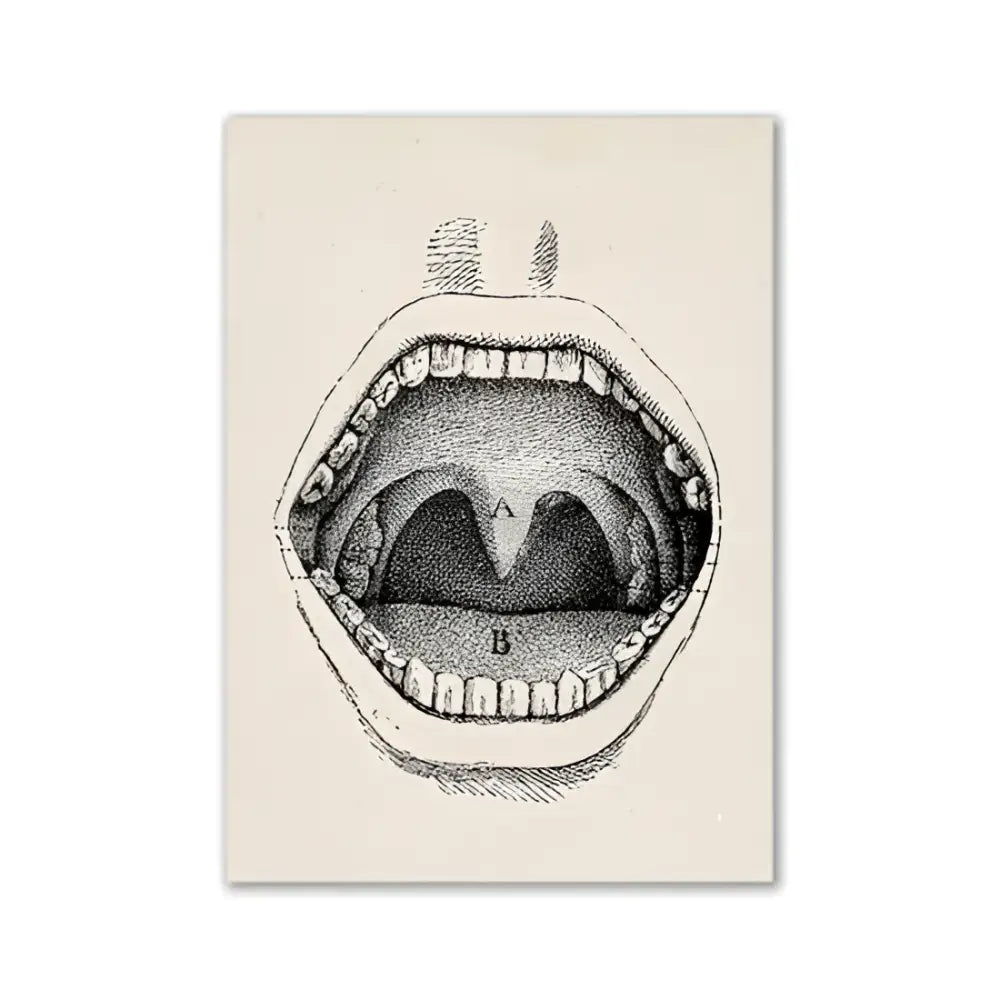 DecorBites™ vintage human anatomy canvas print featuring an open mouth with labeled tongue and throat structures
