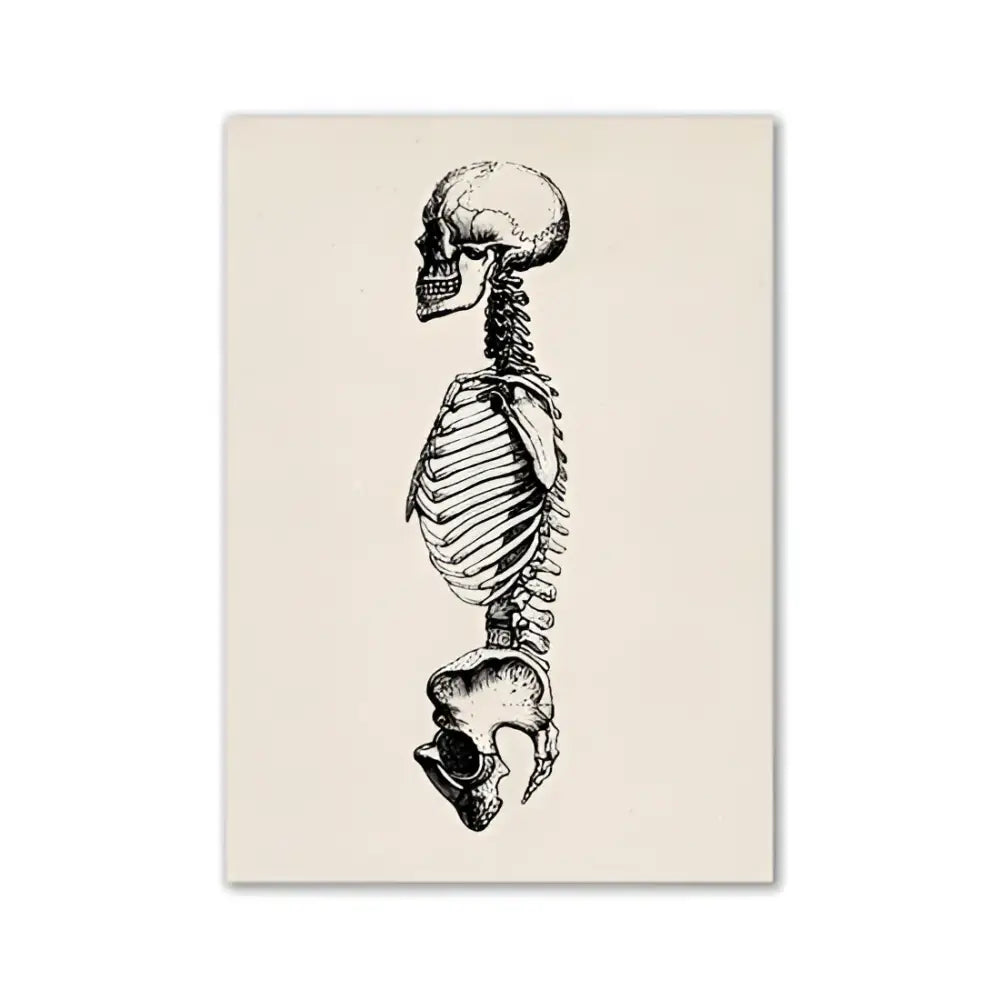 Decorbites™ vintage human anatomy canvas print featuring a detailed black-and-white illustration on off-white canvas