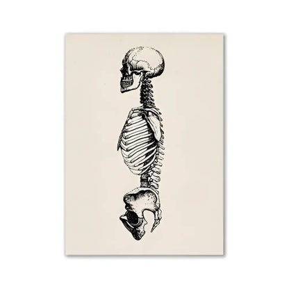 Decorbites™ vintage human anatomy canvas print featuring a detailed black-and-white illustration on off-white canvas
