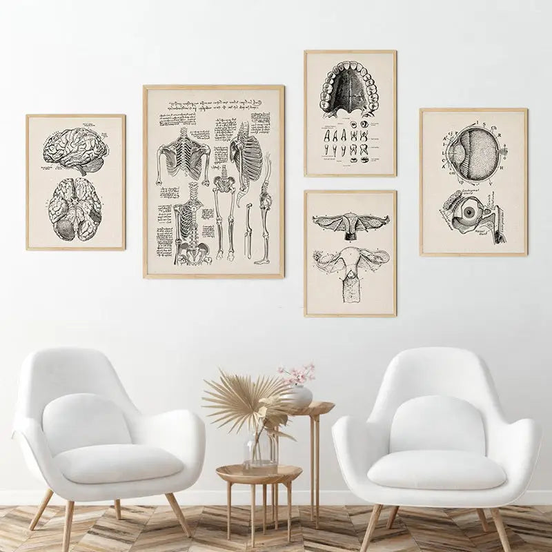 Set of five framed decorbites™ vintage human anatomy canvas prints with black and white illustrations on beige paper