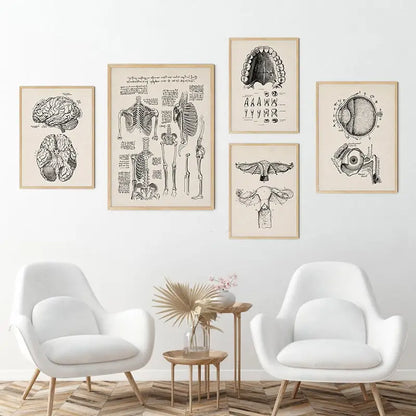 Set of five framed decorbites™ vintage human anatomy canvas prints with black and white illustrations on beige paper