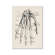 DecorBites™ vintage human anatomy canvas wall art featuring a black ink anatomical hand skeleton on off-white paper
