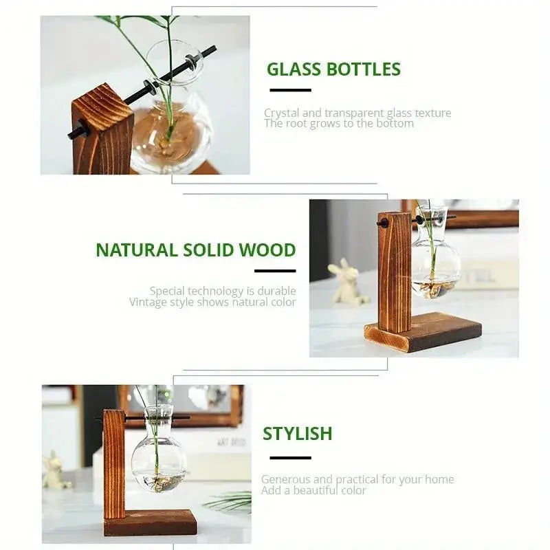 Eine klare Glas-Zweibirnenvase mit runder Basis auf einem rustikalen Holzpult für Desktop-Pflanzenpropagation von Decorbites
