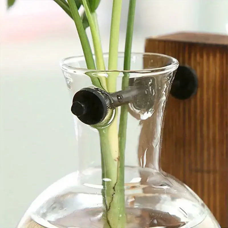 Decorbites™ vintage niedriger Stil Zweibirnen-Glasvase mit schwarzem zylindrischem Wasserspender für Desktop-Propagation