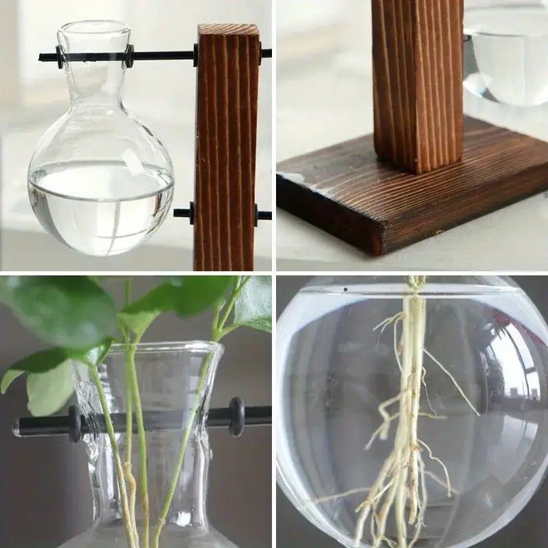 Decorbites™ vintage Hydroponik-Glasvase mit birnenförmigem Körper und schmalem Hals auf dunklem Holzpult für niedrigen Stil Desktop-Gebrauch