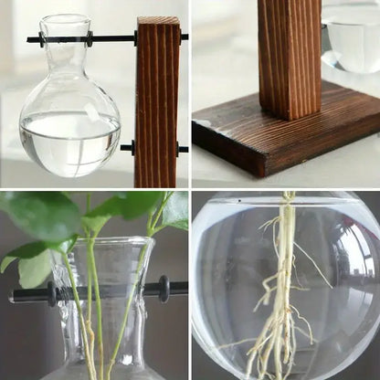 DecorBites™ vintage hydroponic glass vase with bulbous body and narrow neck on dark wood stand for low style desktop use