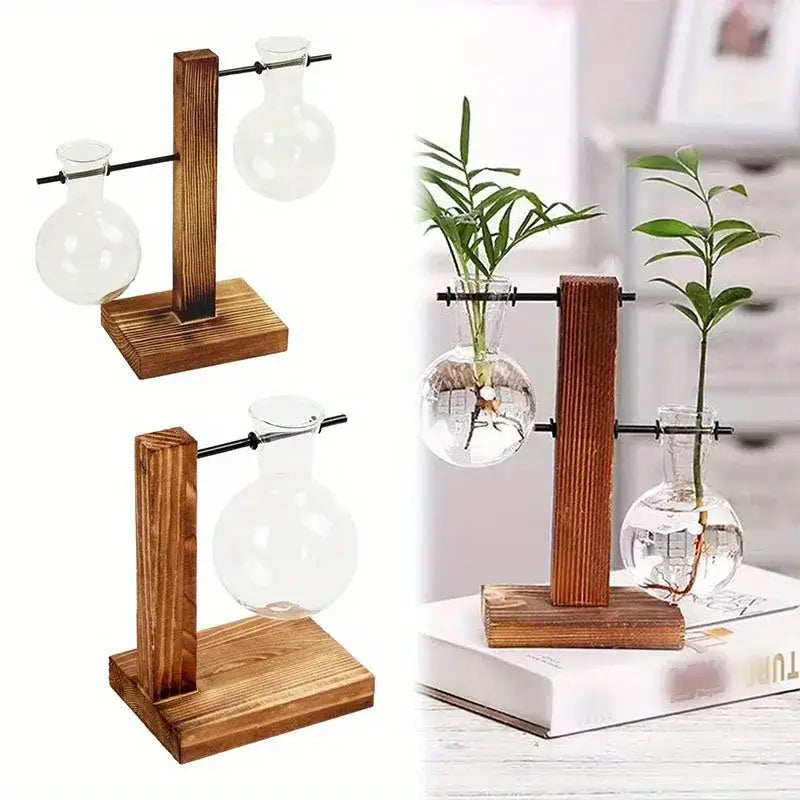 Holzpult mit klaren Glas-Zweibirnenvasen und schwarzen Metallstangen für niedrigen Stil Desktop-Pflanzenpropagation von Decorbites
