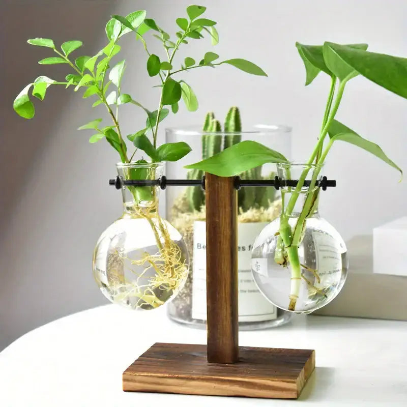 Decorbites™ vintage Holzpult mit zwei klaren Glas-Sphärenvasen für niedrigen Stil Desktop-Propagation mit Wurzeln