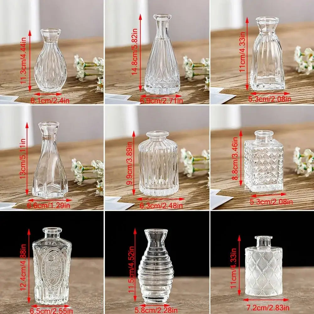 Vintage Relief Glasvase für Hydroponische Pflanzen - Vase