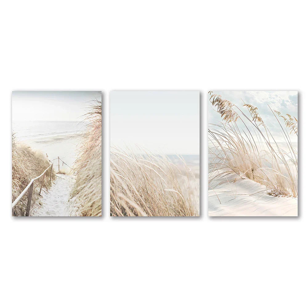 Set of three beige beach-themed white seascape canvas prints featuring tall grasses and coastal paths by DecorBites