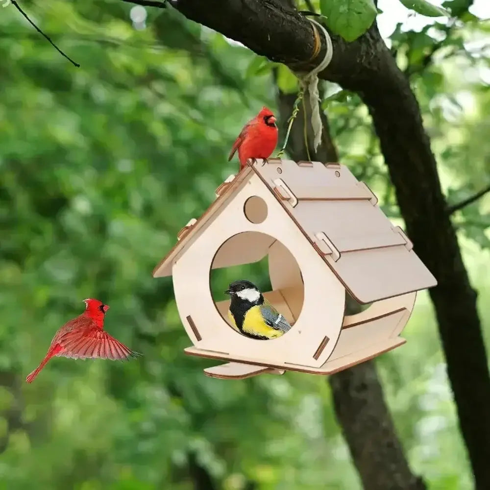 Light-colored wooden bird feeder with circular entrance and slanted roof hanging from tree branch for outdoor use