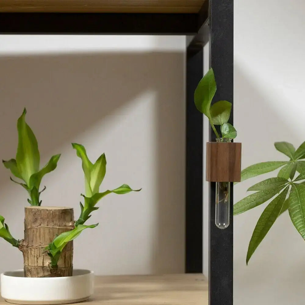 Wooden Magnetic Test Tube Vase for DIY Flower Arrangement - Vase