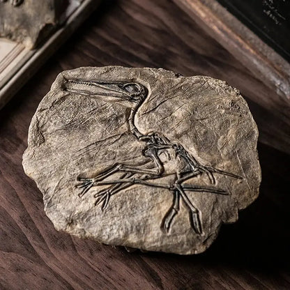 Dark gray detailed dinosaur fossil resin impression embedded in rough stone slab for decorbites desk decorbites dinosaur fossil