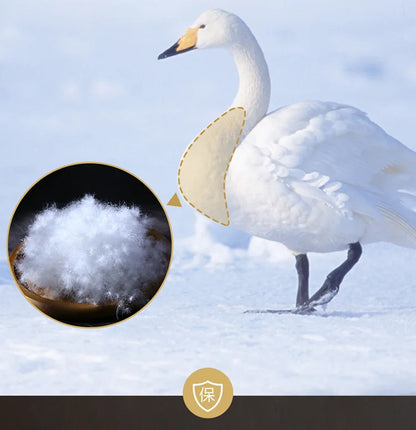 White swan with a black beak standing in snow illustrating down duvet 95 white goose down five-star hotel warm double duvet core