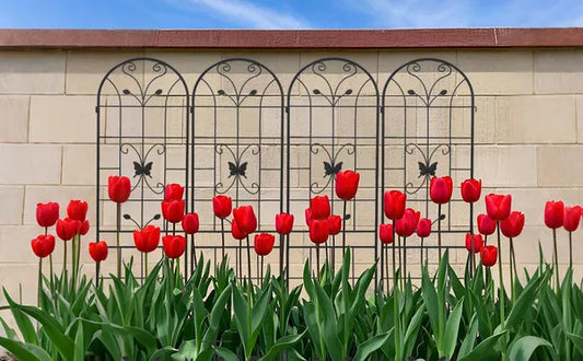 4 Pack Metal Garden Trellis 86.7" X 19.7" Rustproof Trellis For Climbing Plants Outdoor Flower Support