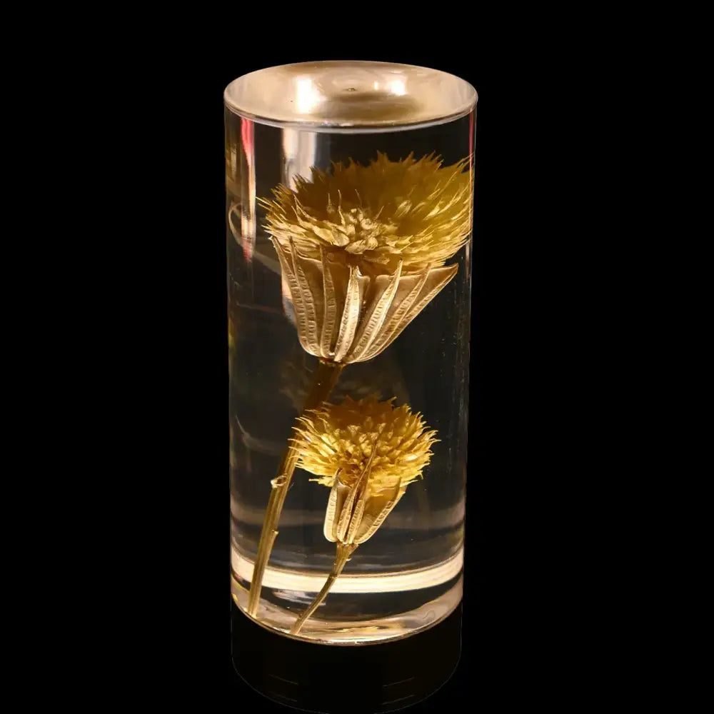 A clear cylindrical glass container with two golden dried flowers suspended in liquid for decorbites eternal flower desk lamp