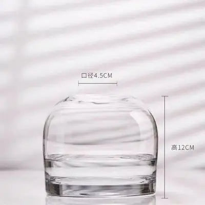 Elegant European INS Glass Flower Vase - transparent 120 - Vase