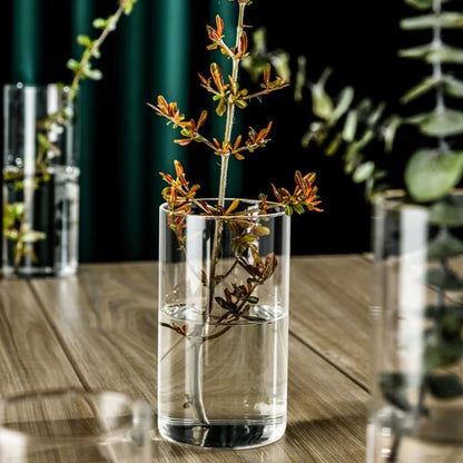 Elegant Glass Cylinder Vase for Flowers - Vase