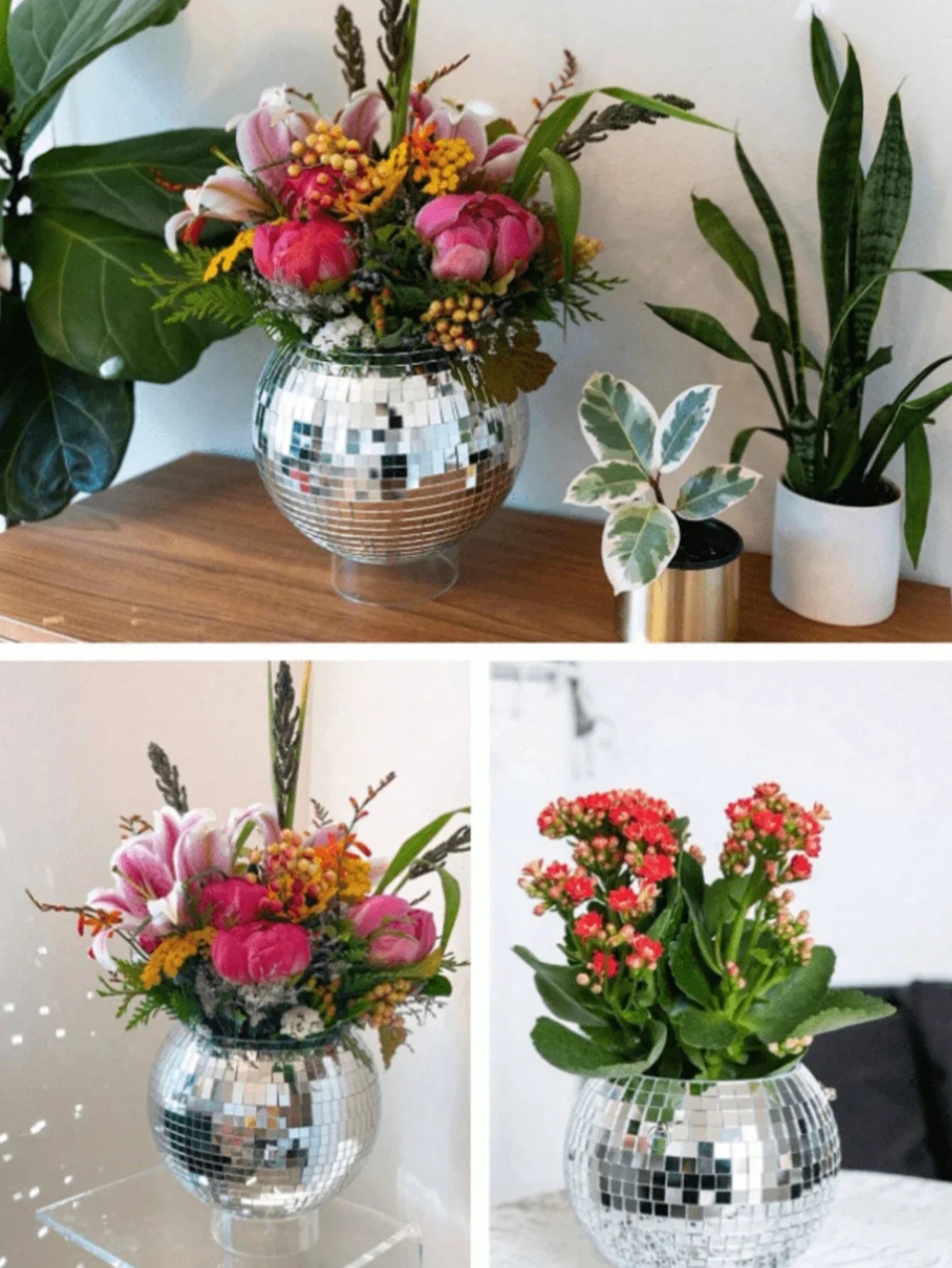 Elegant Round Glass Vase for Home Decor - yinse - Vase