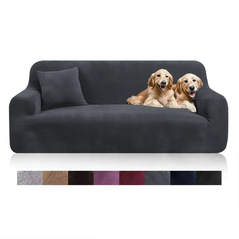 Black velvet sofa cover with elasticized edges and matching pillow featuring two golden retrievers lounging on top