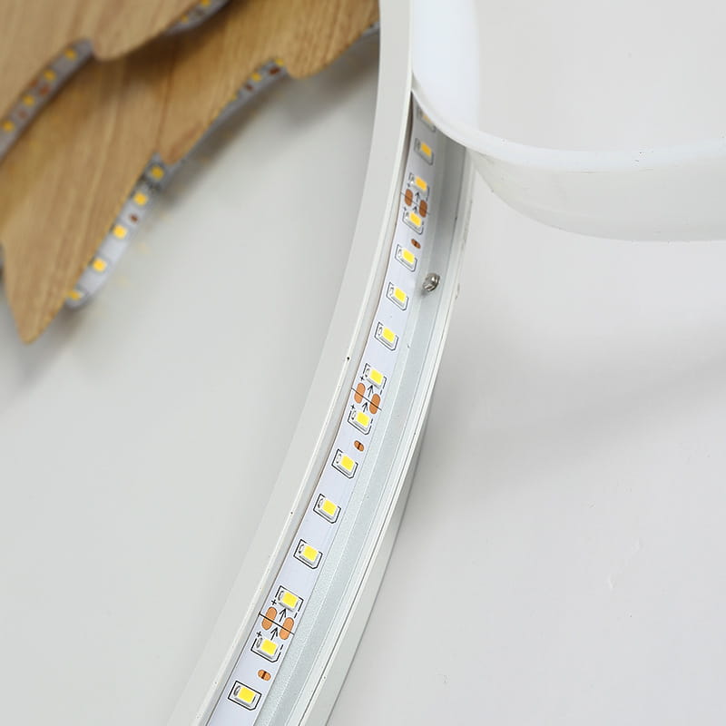 Dome Lamp In Round Bedroom