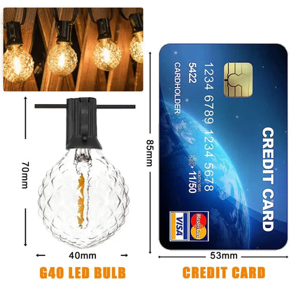 Clear faceted g40 string lights bulb with black plastic housing and visible filament for outdoor garden use