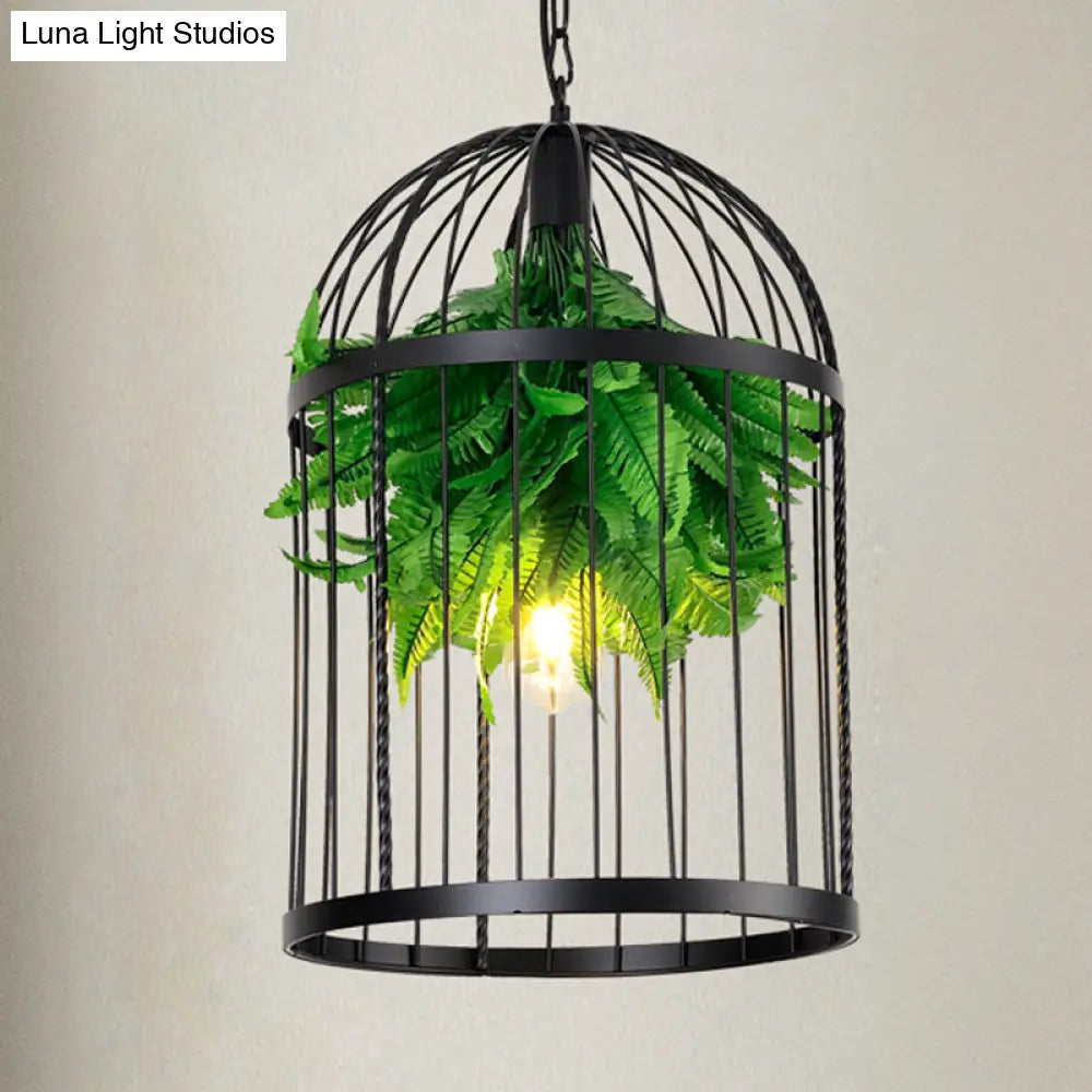 Farmhouse Iron Hanging Lamp: Black Bird Cage Pendant Light with Plant Decor