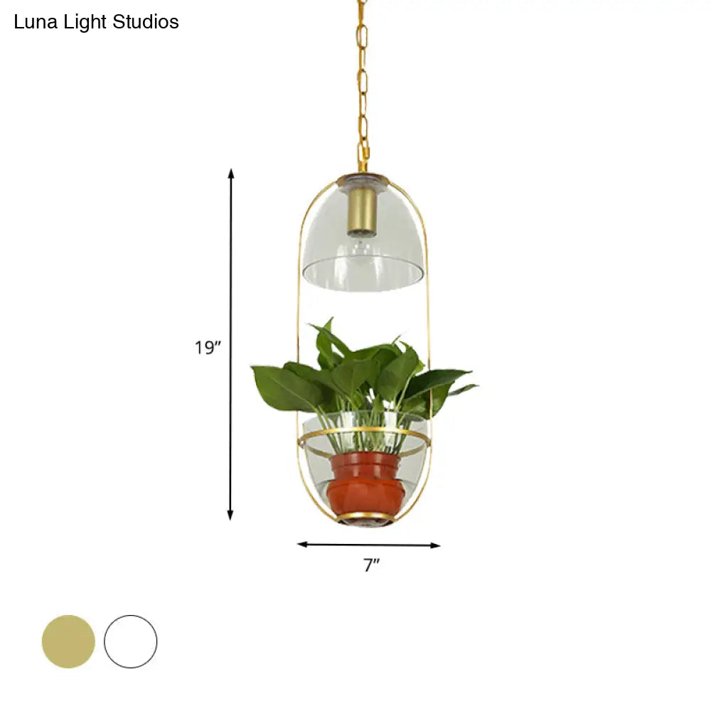 Farmhouse Pendant Light: White/Gold Drop Lamp with Clear Glass Bowl Shade, Oval Cage Fixture