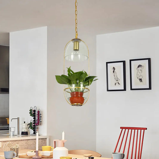 Farmhouse Pendant Light: White/Gold Drop Lamp with Clear Glass Bowl Shade, Oval Cage Fixture