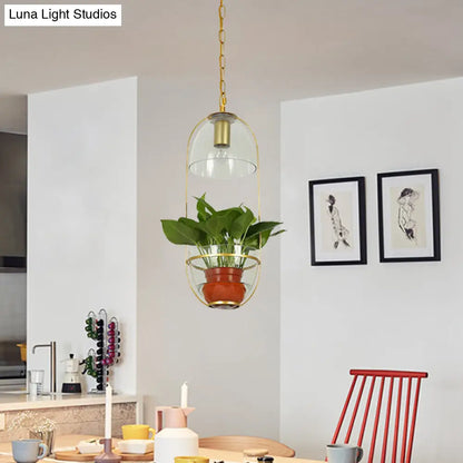 Farmhouse Pendant Light: White/Gold Drop Lamp with Clear Glass Bowl Shade, Oval Cage Fixture