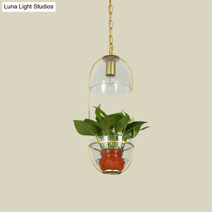 Farmhouse Pendant Light: White/Gold Drop Lamp with Clear Glass Bowl Shade, Oval Cage Fixture