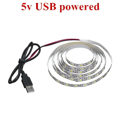 Flexible white and silver usb-powered led light strips with small evenly spaced lights for tv background and bedroom use
