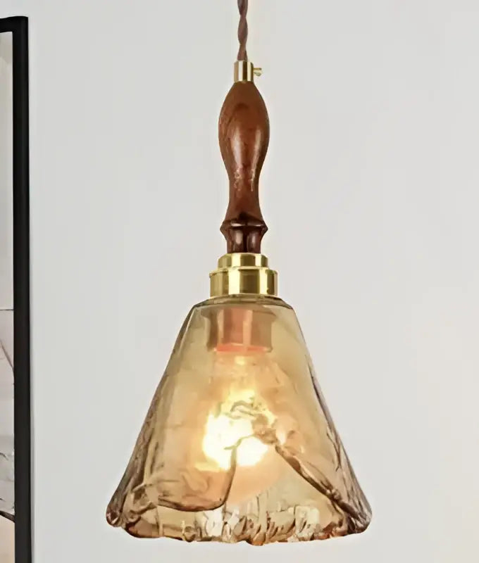 Warm amber glass pendant light with polished brass fixture and dark wood handle for dining room glass pendant lights