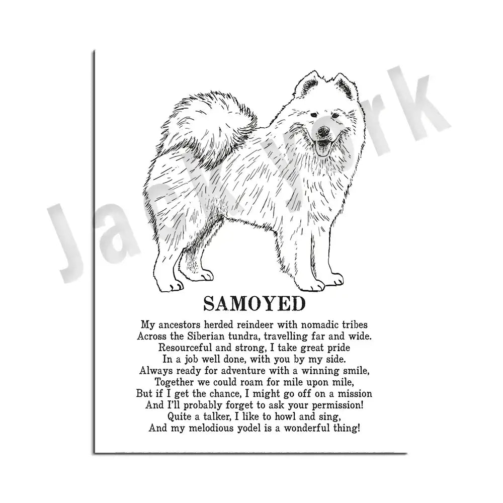Framed black and white samoyed dog breed poetry poster set featuring a fluffy dog line drawing for living room decorbites decor