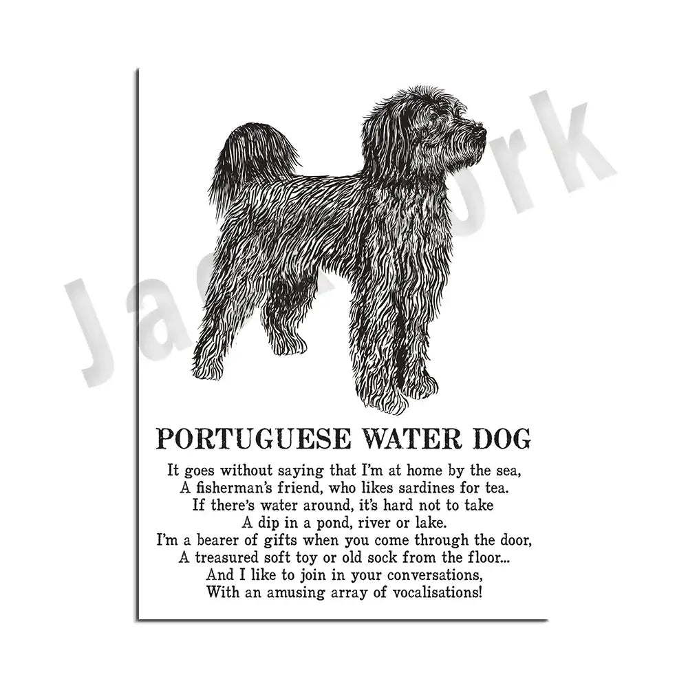Framed black and white decorbites dog breed poetry poster set featuring a black ink illustration of a portuguese water dog