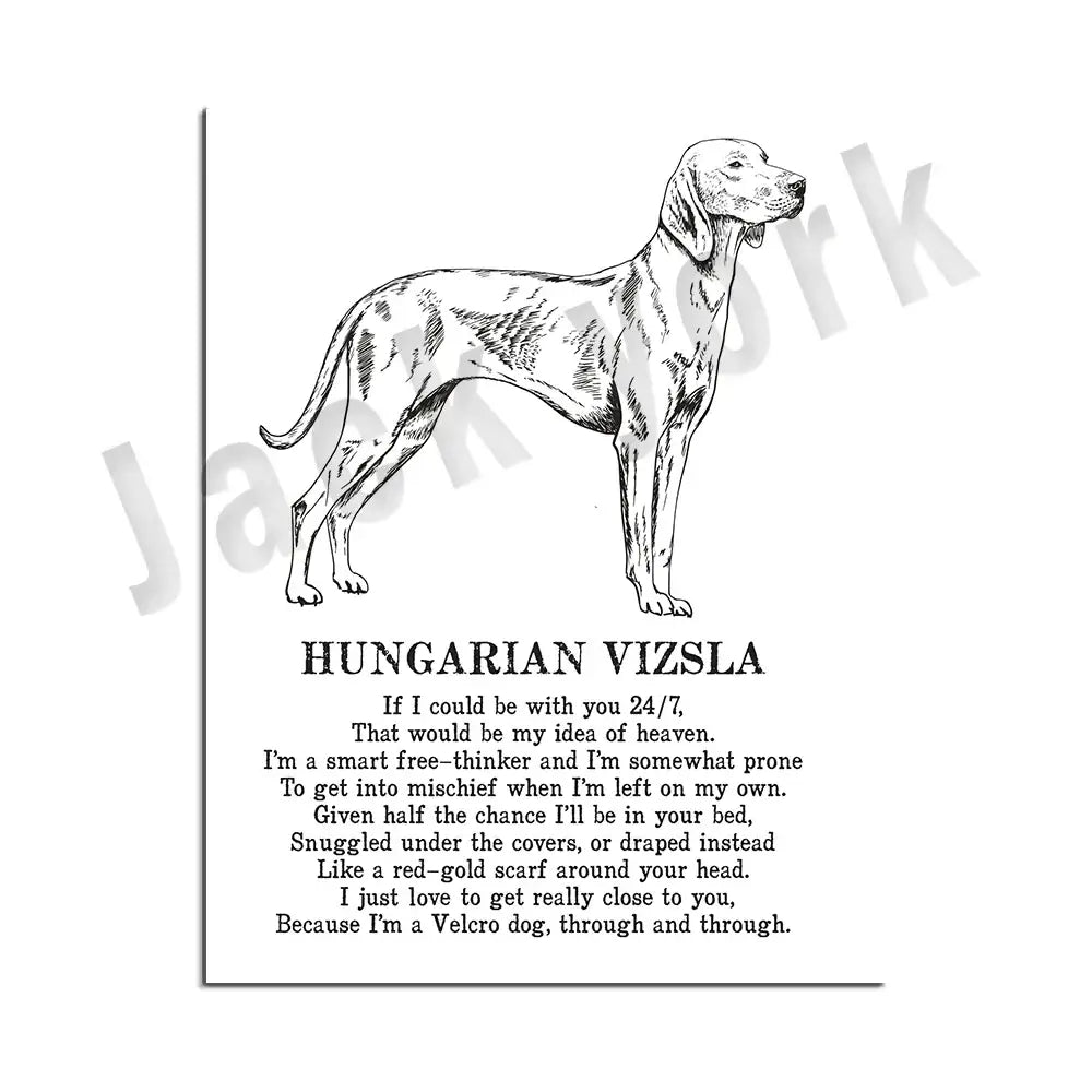 Framed black and white dog breed poetry poster featuring detailed line art of a Hungarian Vizsla for living room decor