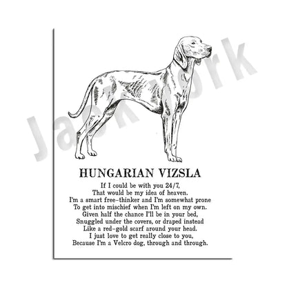 Framed black and white dog breed poetry poster featuring detailed line art of a Hungarian Vizsla for living room decor