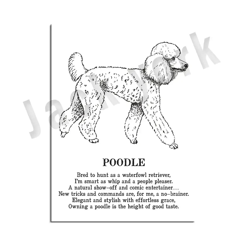 Framed black and white dog breed poetry poster featuring illustrated poodle traits for living room decorbites decor