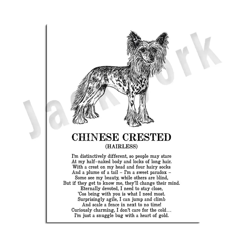 Framed black and white chinese crested dog breeds poster with poem for bedroom wall art decorbites dog breeds collection