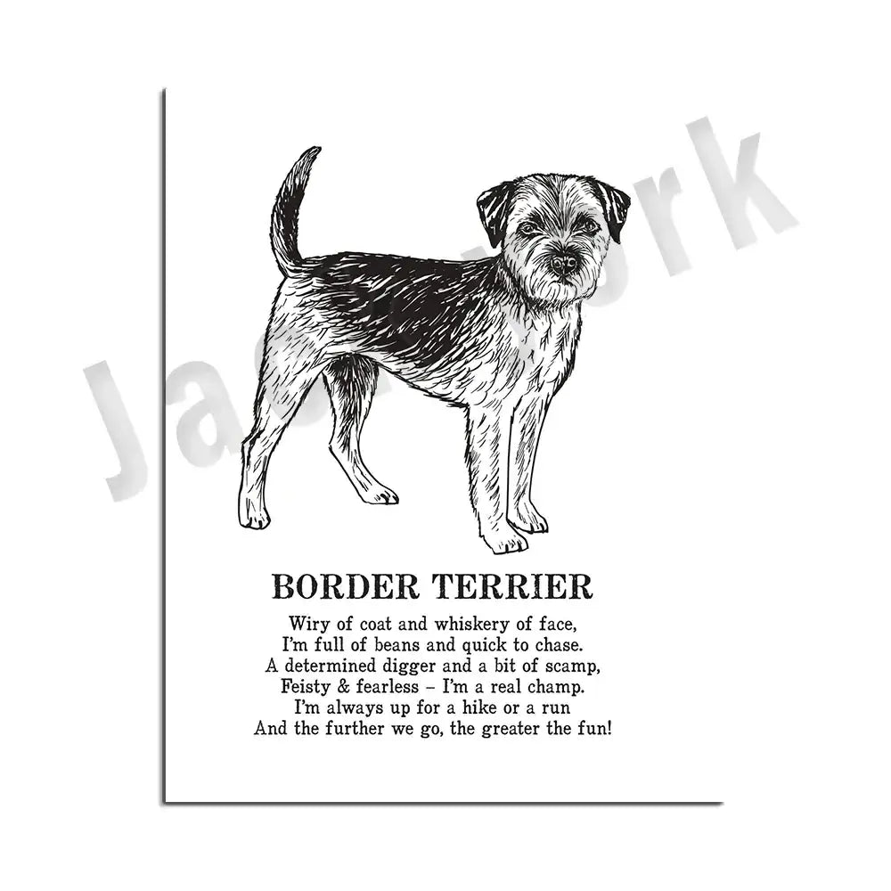 Framed black and white dog breeds poster featuring a stylized border terrier sketch for bedroom wall art decorbites dog breeds