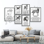 Set of framed black and white decorbites dog breeds posters with detailed illustrations for bedroom wall art decor