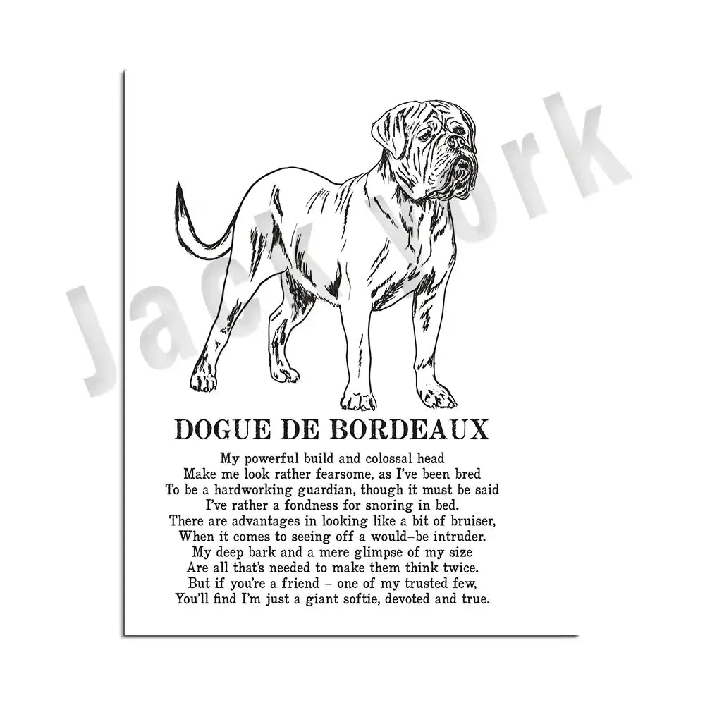 Framed black and white line art dogue de bordeaux dog breeds poster for bedroom wall decor by decorbites dog breeds