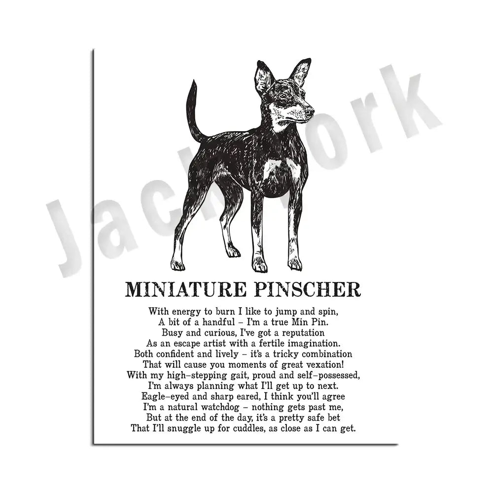 Framed black and white miniature pinscher dog poetry poster featuring illustrated design for living room wall art