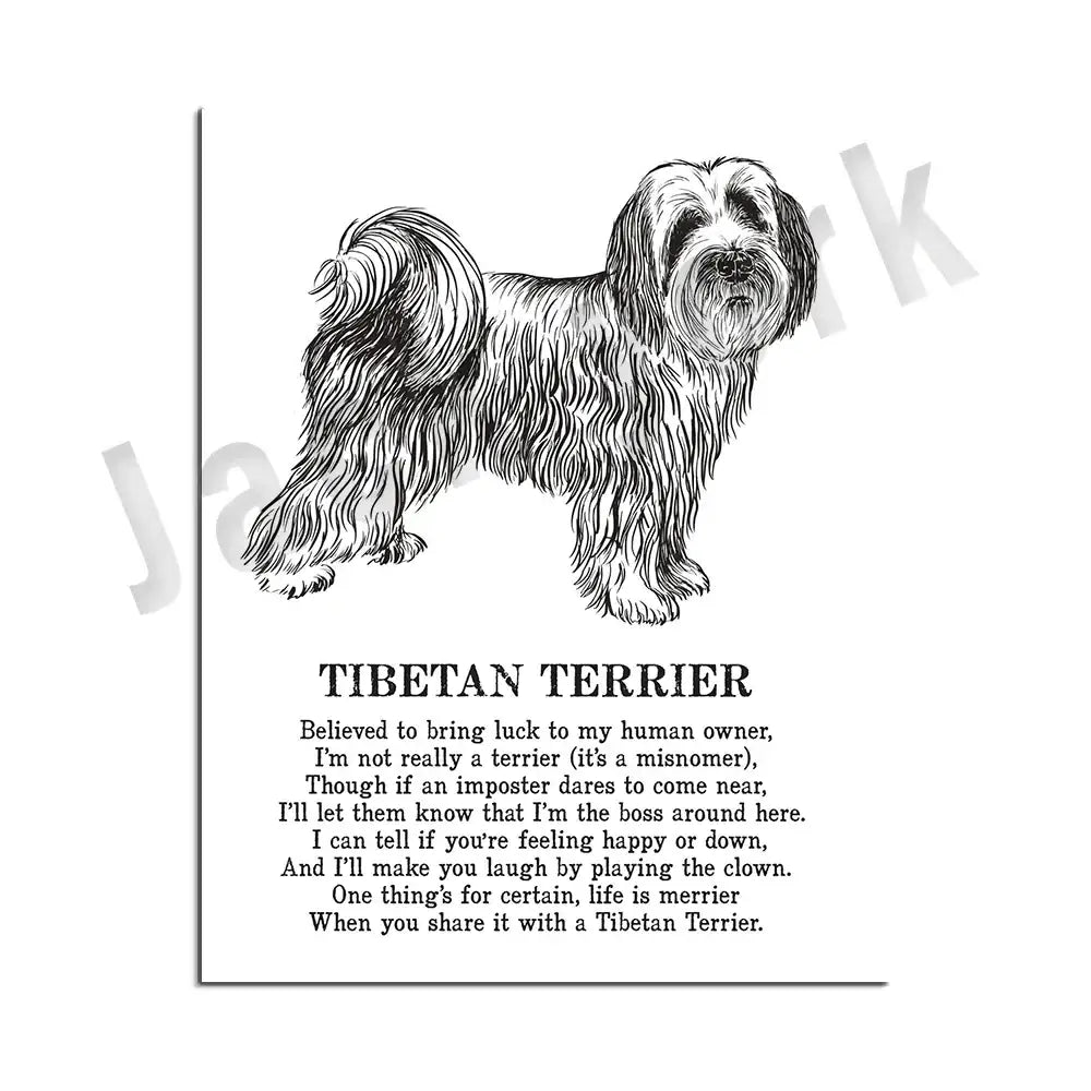 Framed black and white tibetan terrier dog poetry poster with detailed line drawing for living room wall art