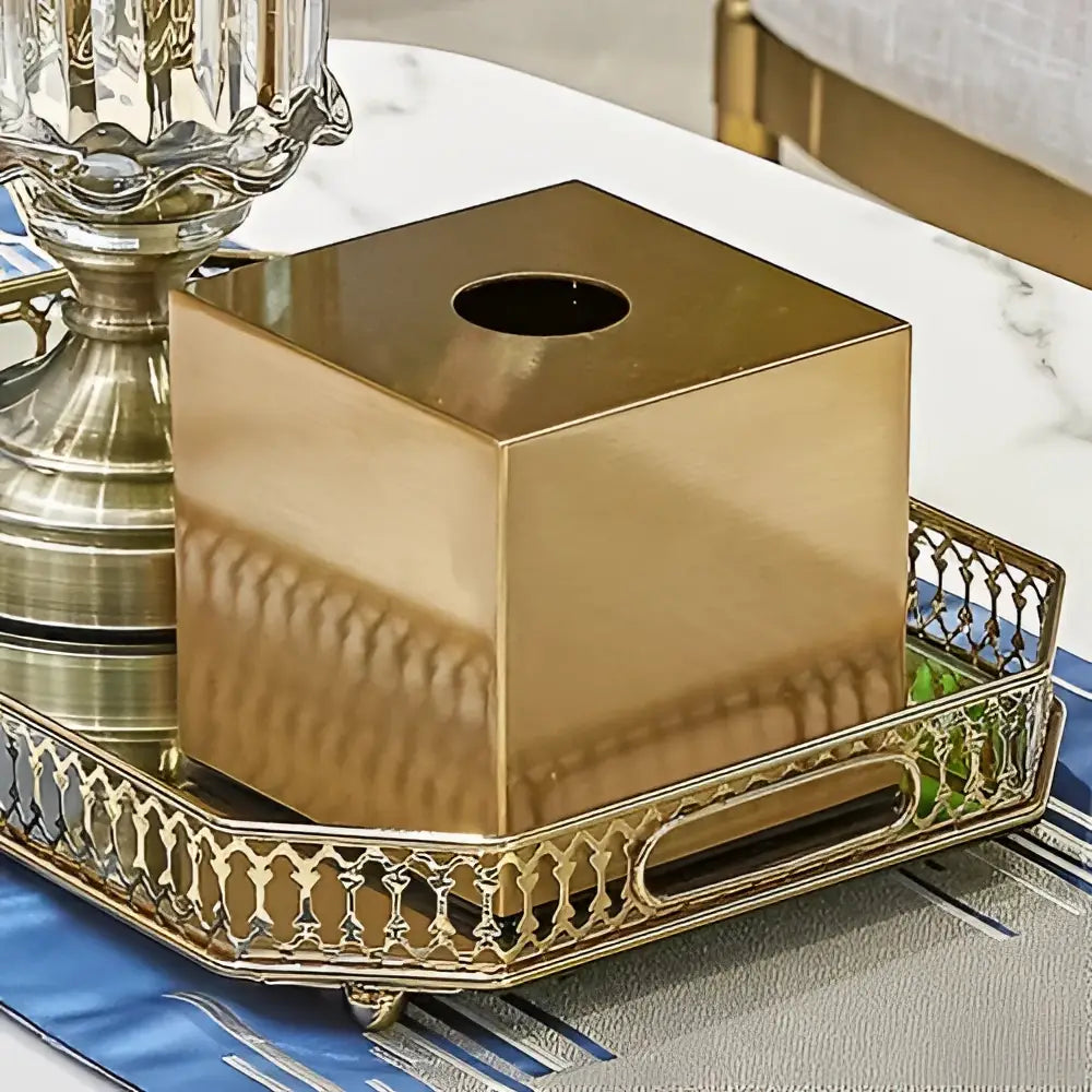 Gold-finished geometric animal brass color tissue box with a sleek modern design and central circular opening for decorbites