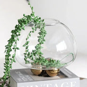 Clear glass spherical vase with green trailing plant inside decorbites geometric golden ball floral decor