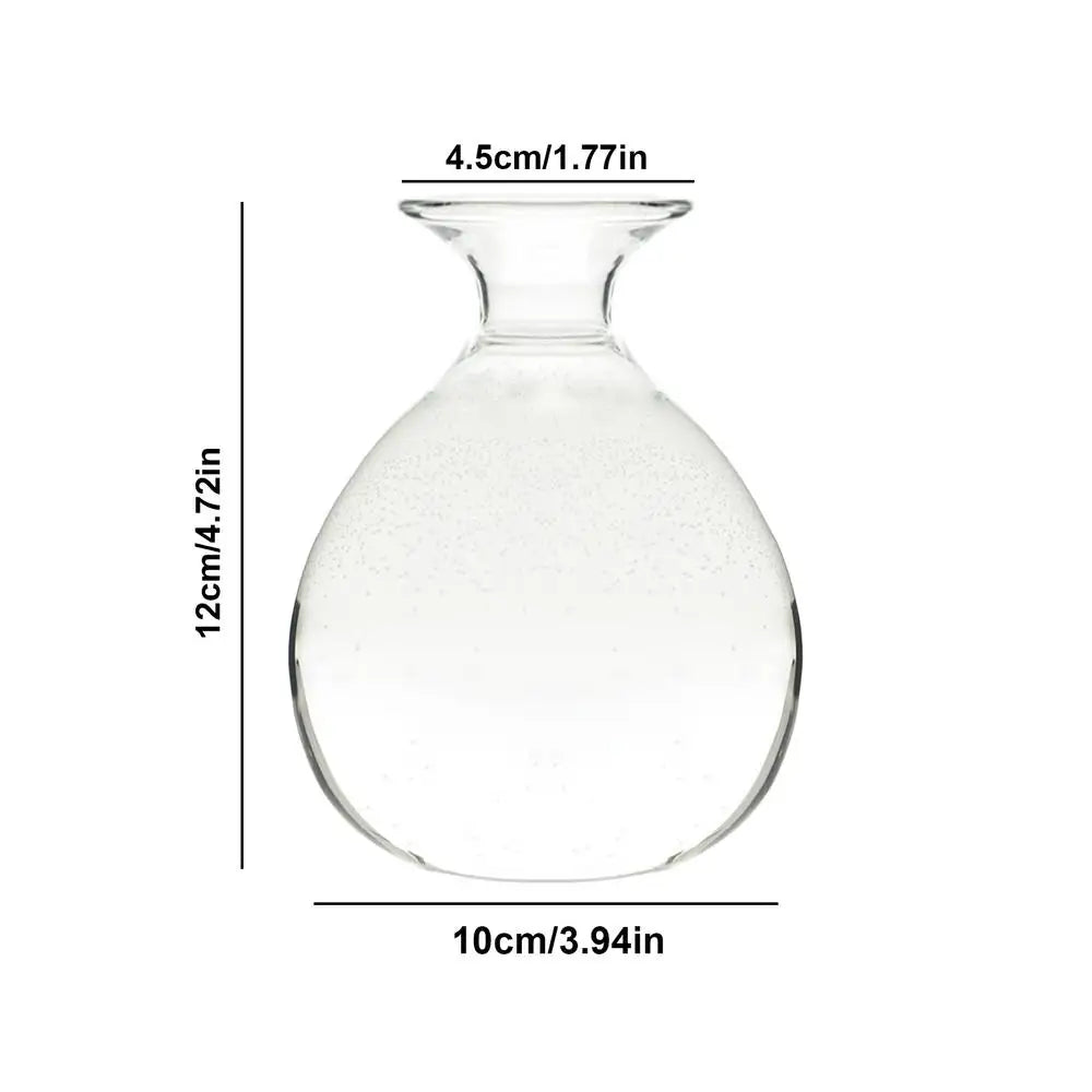 Glass Avocado Seed Starter Vase Kit